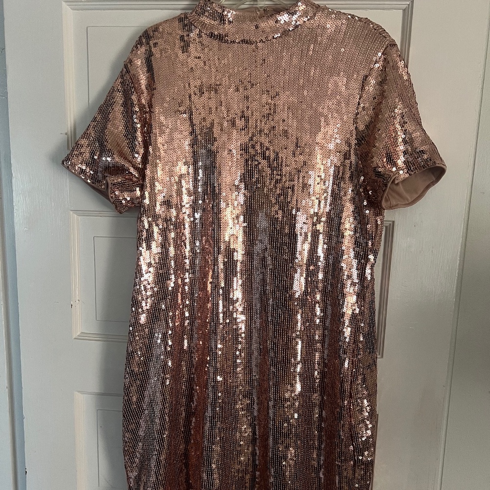 Scoop Short Sleeve Rose Gold Sequined Dress